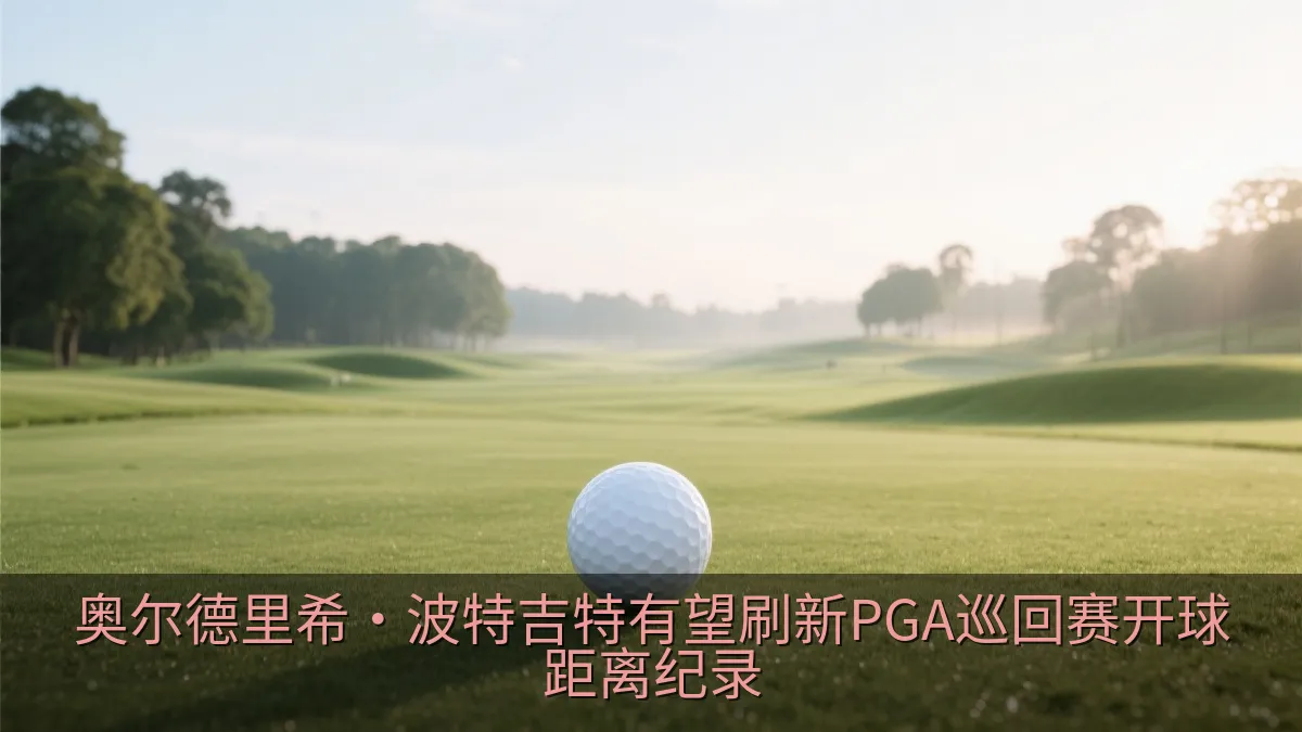 高尔夫球落在宽阔球道上的远景